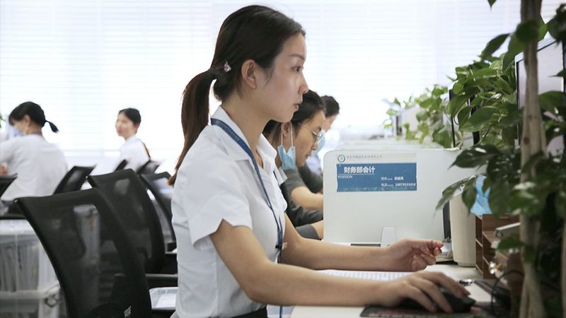 企业名称核准字号保护：关键步骤与注意事项