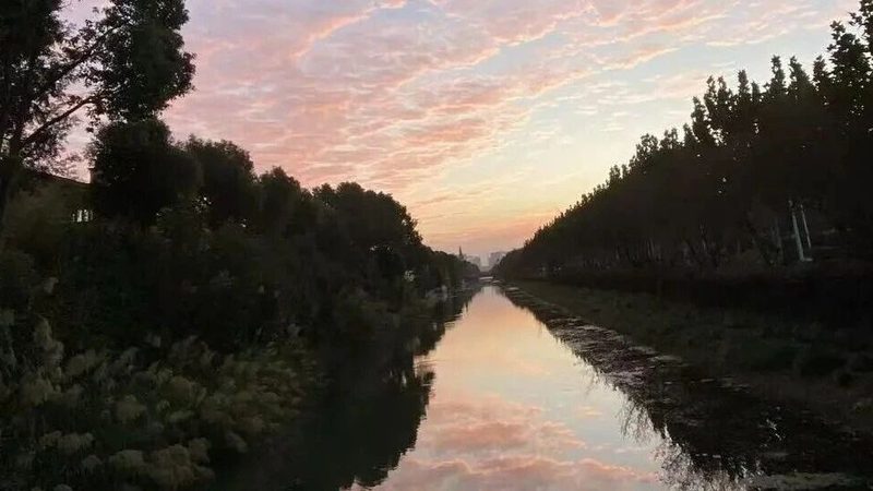 公司股权转让代理，如何选择合适的报价？**