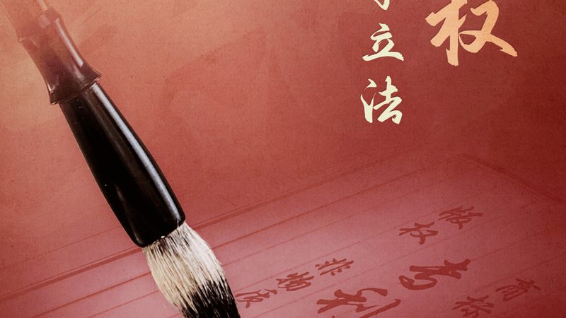 新公司股东股权分配：法律依据与实操要点**